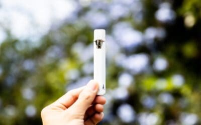 Mints Brand Redefining the Hemp Industry with High Quality Products