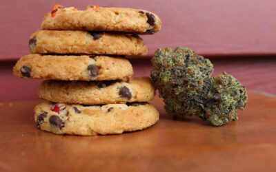 Does Delta 8 Give You Munchies?