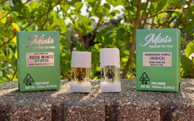Get “Buzzed” Discreetly With Mints Delta 8 Pods