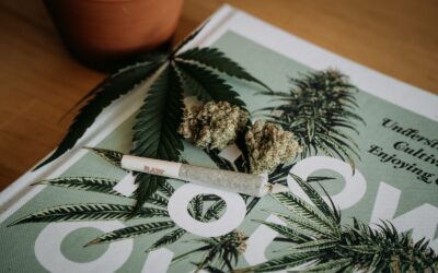 Why is Delta 8 THC Considered “Diet Weed”?