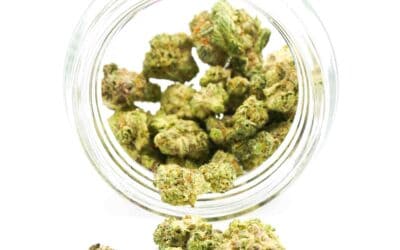 THCa Flower Smalls