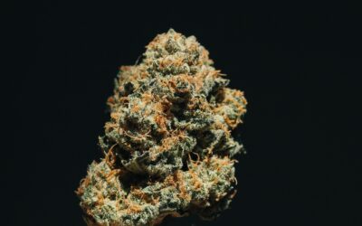 What is Tetrahydrocannabinolic Acid (THCa) Anyway?