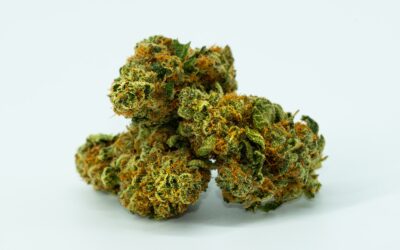 Unveiling the Legendary OG Kush: A Timeless Cannabis Strain and Its Enigmatic Origins