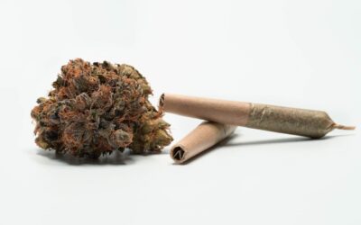 HHC vs THC: Which Is Stronger?