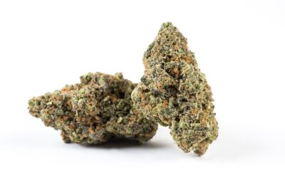 How Does THCa Compare to Other Cannabinoids?