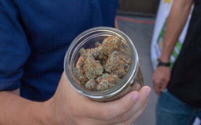 THCa Flower vs. Delta 8 Flower: There Is A Clear Winner