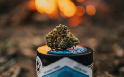 THCa vs. HHC: Which Cannabinoid Is Superior?