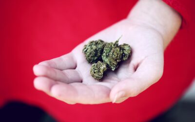 Weed Hangovers: The Solution and Science Behind It